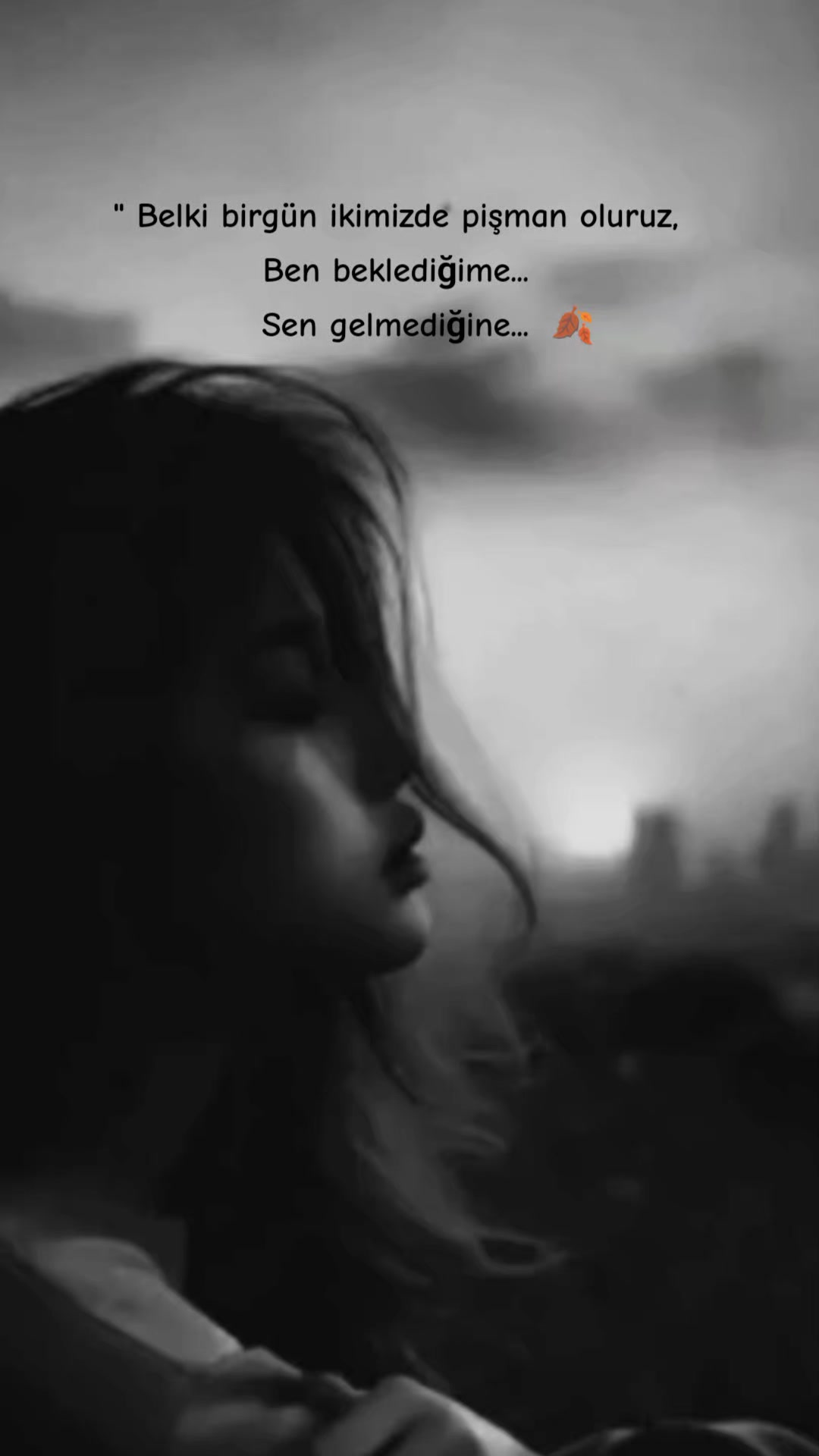 @🍂 ᴾᴼᵞᴿᴬᶻ 🍂