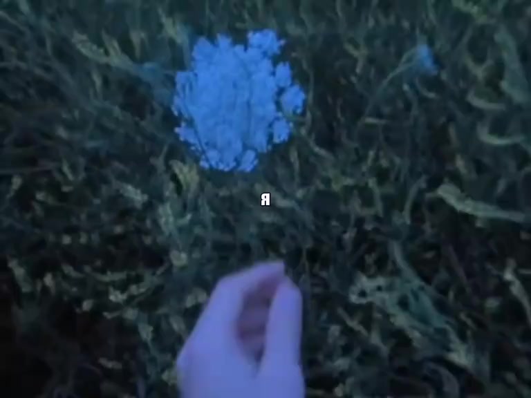 @Андрей