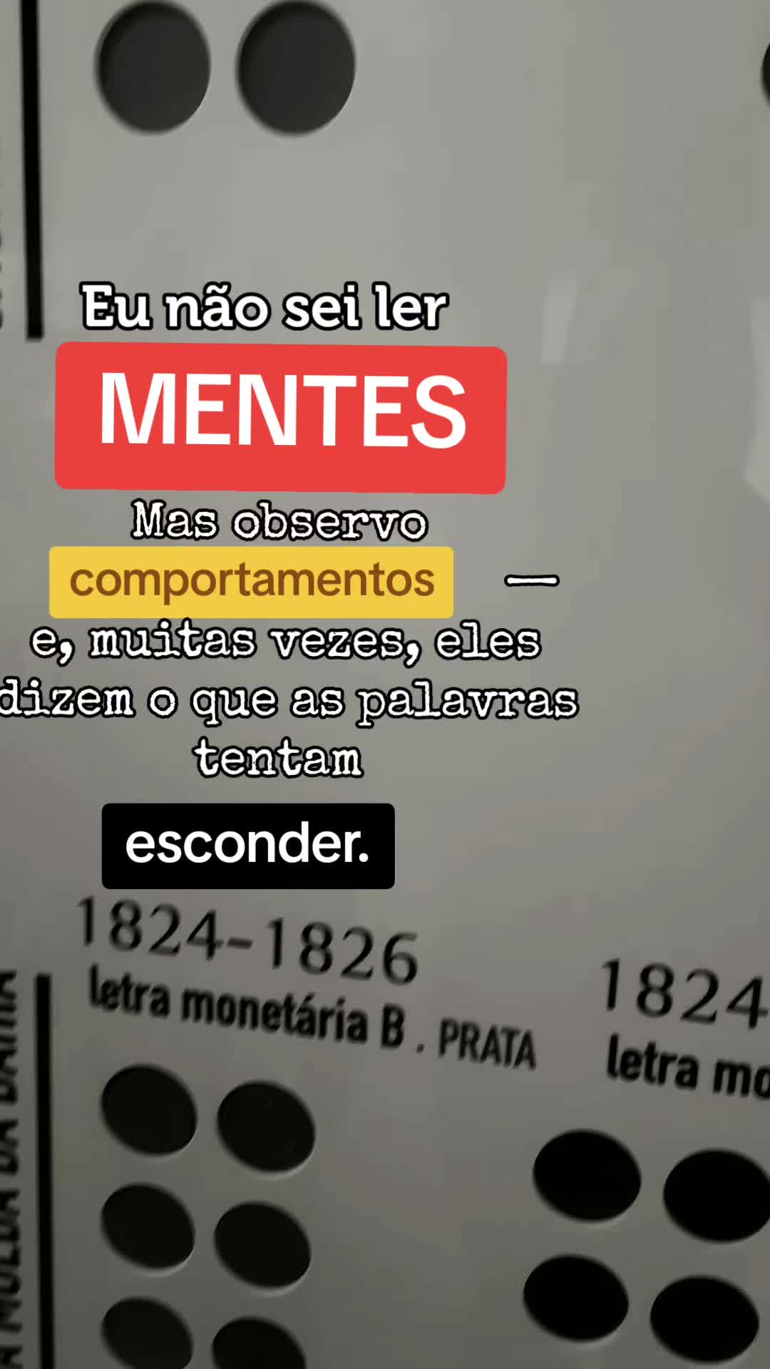 @Andreia Nogueira