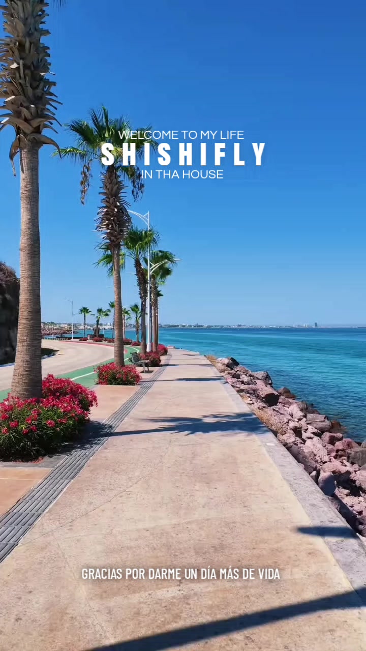 @💪SHISHIFLY👌