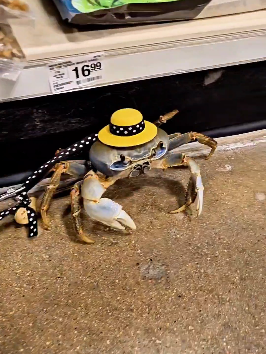 @Howie The Crab