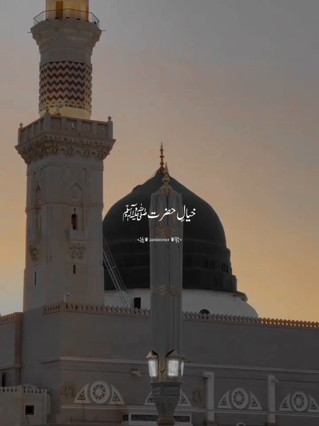 @꧁♛ 𝑧𝑎𝑟𝑖𝑖𝑠𝑡𝑜𝑟𝑖𝑒𝑠 ♛꧂