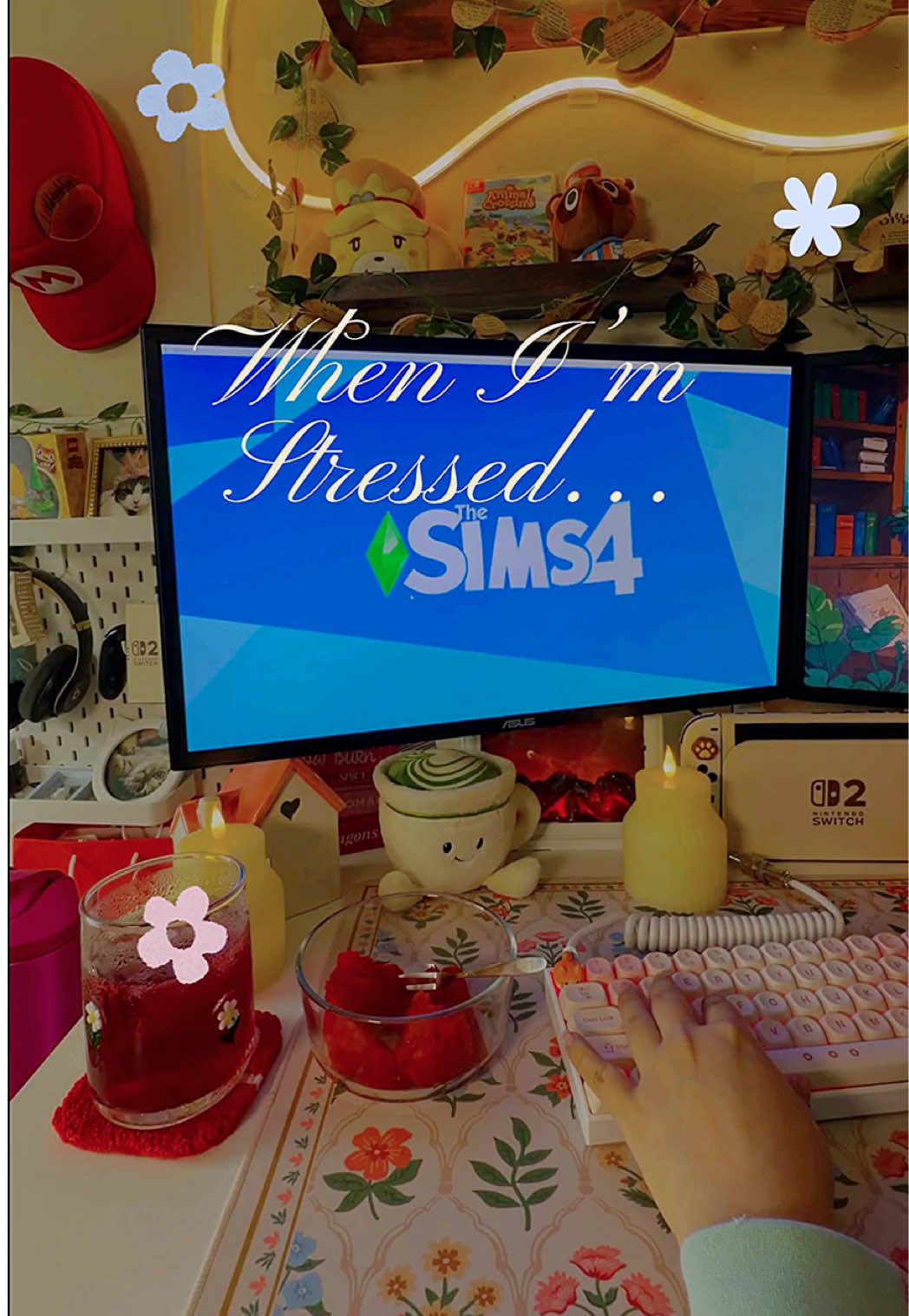 @Roxy | Cozy Gaming & Soft Life
