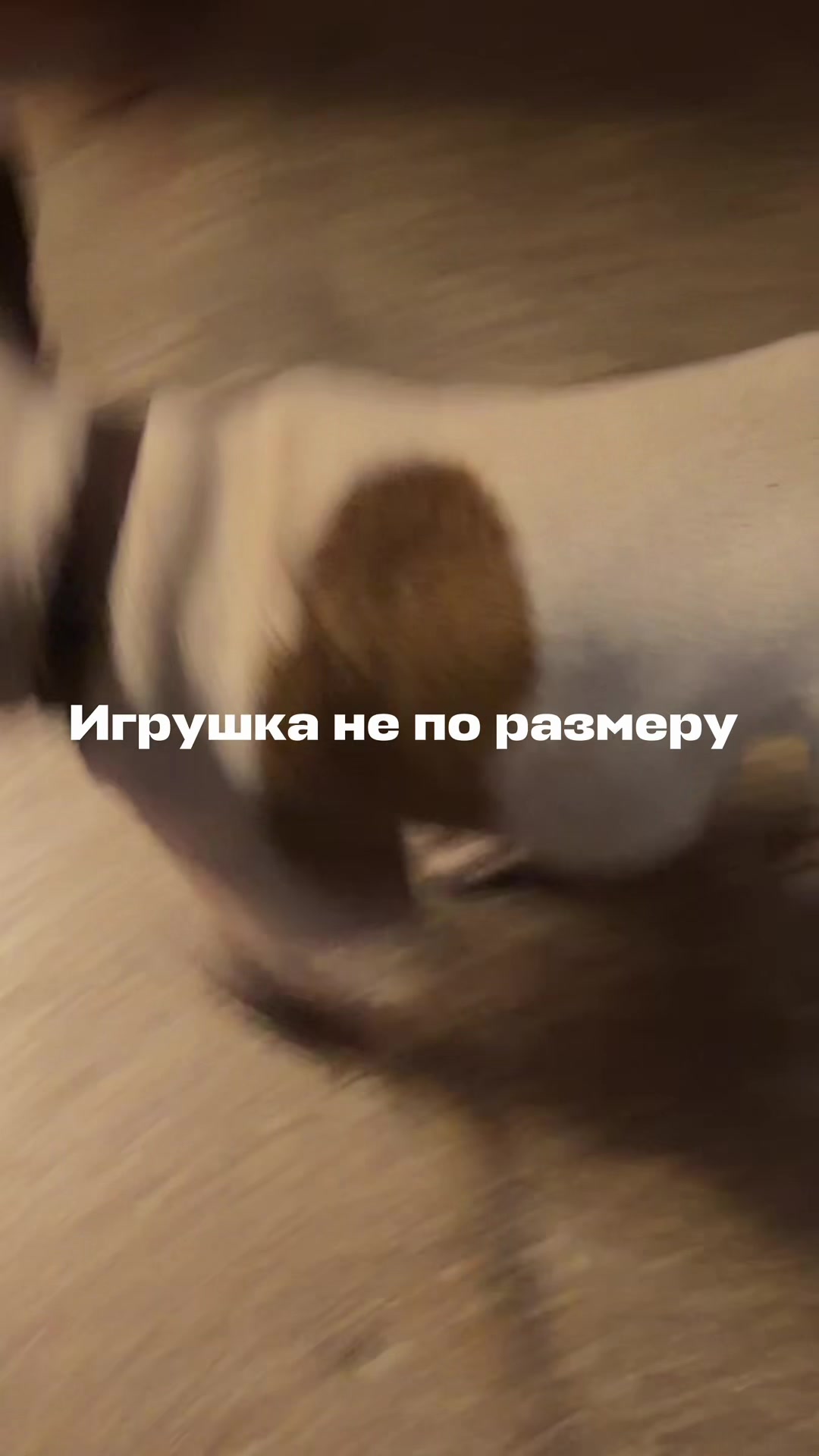 @INST:_independent_________