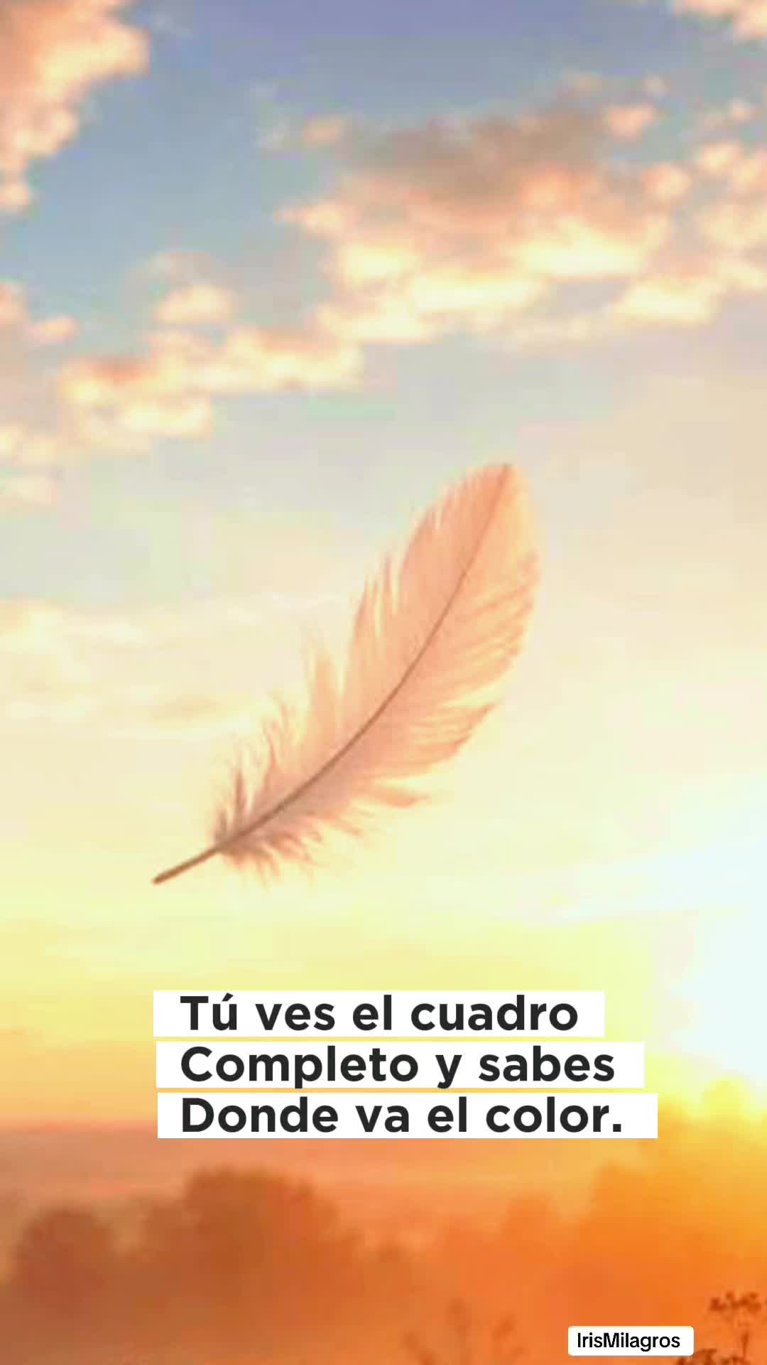 @IrisMilagros 🌼🌸