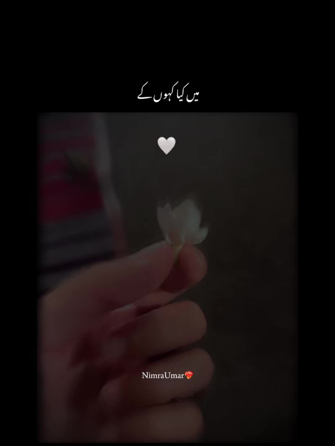 @ZirsHa🦋