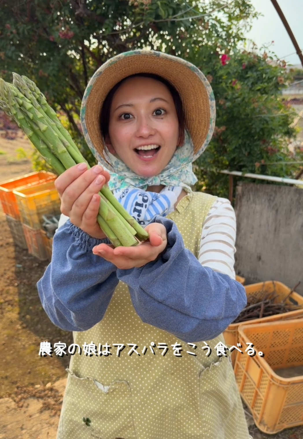 @こぴ