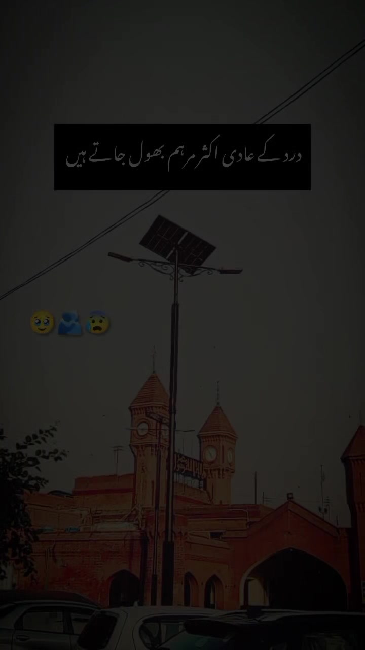 @Feeling is Dead 🥹🪾
