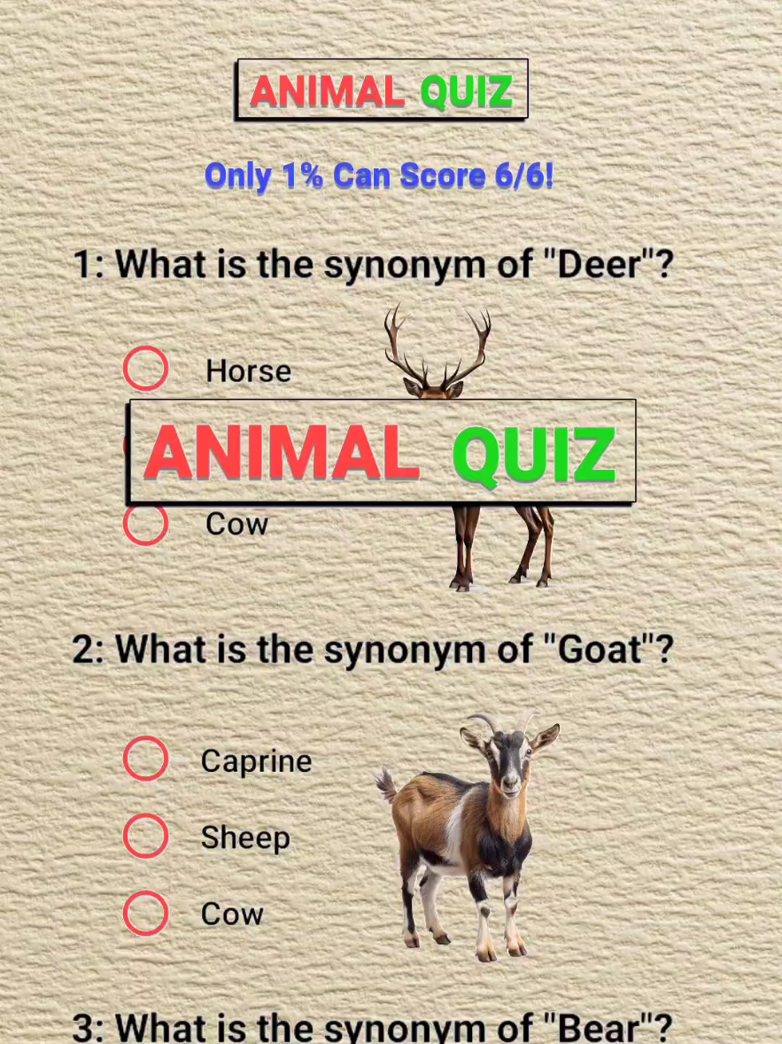 @SmartMind Quiz