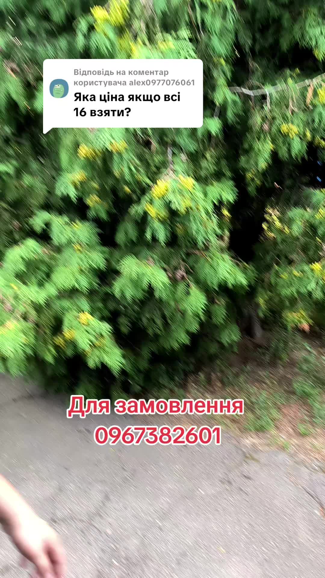 @МодноВхаті3