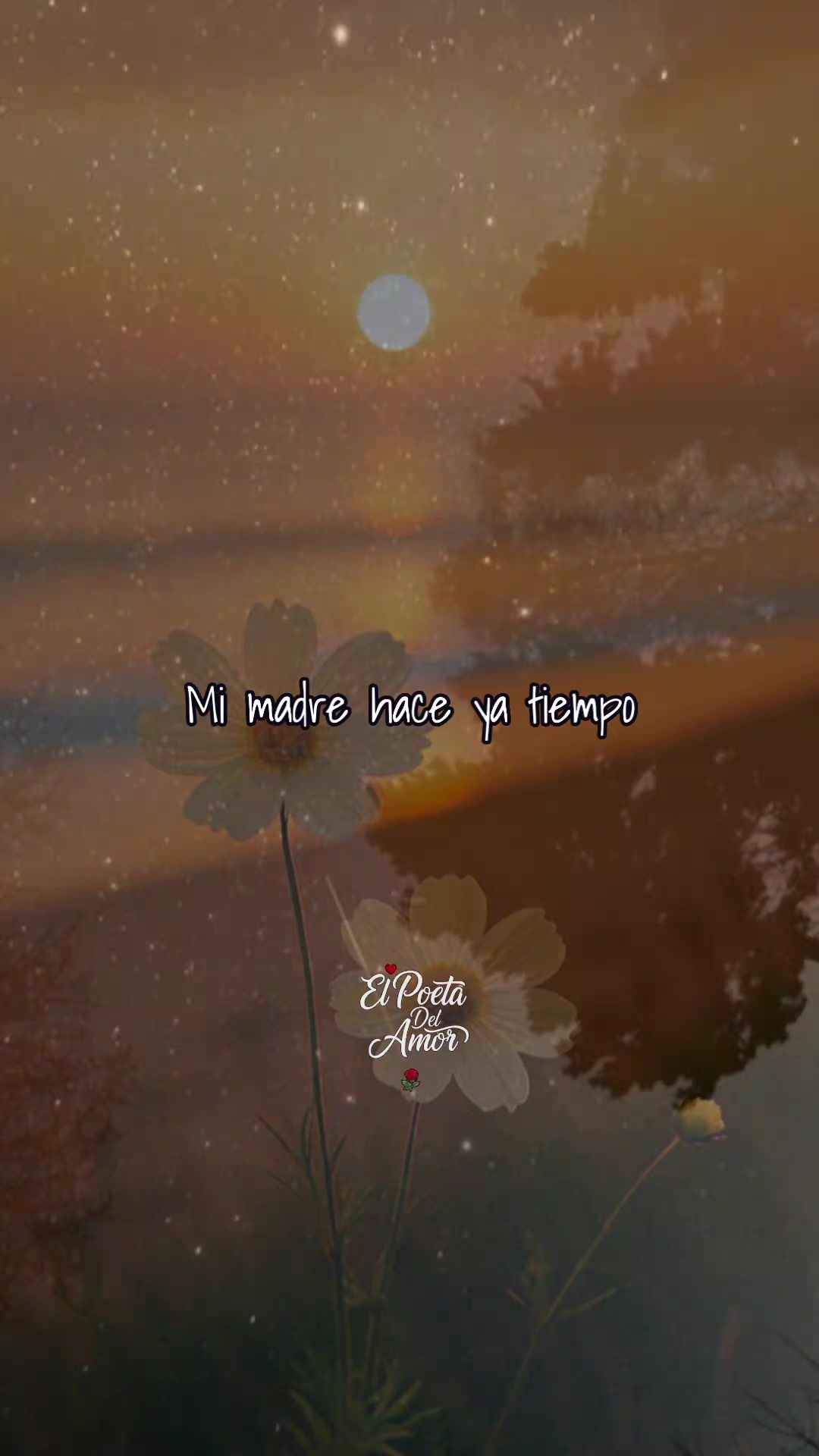 @EL POETA DEL AMOR