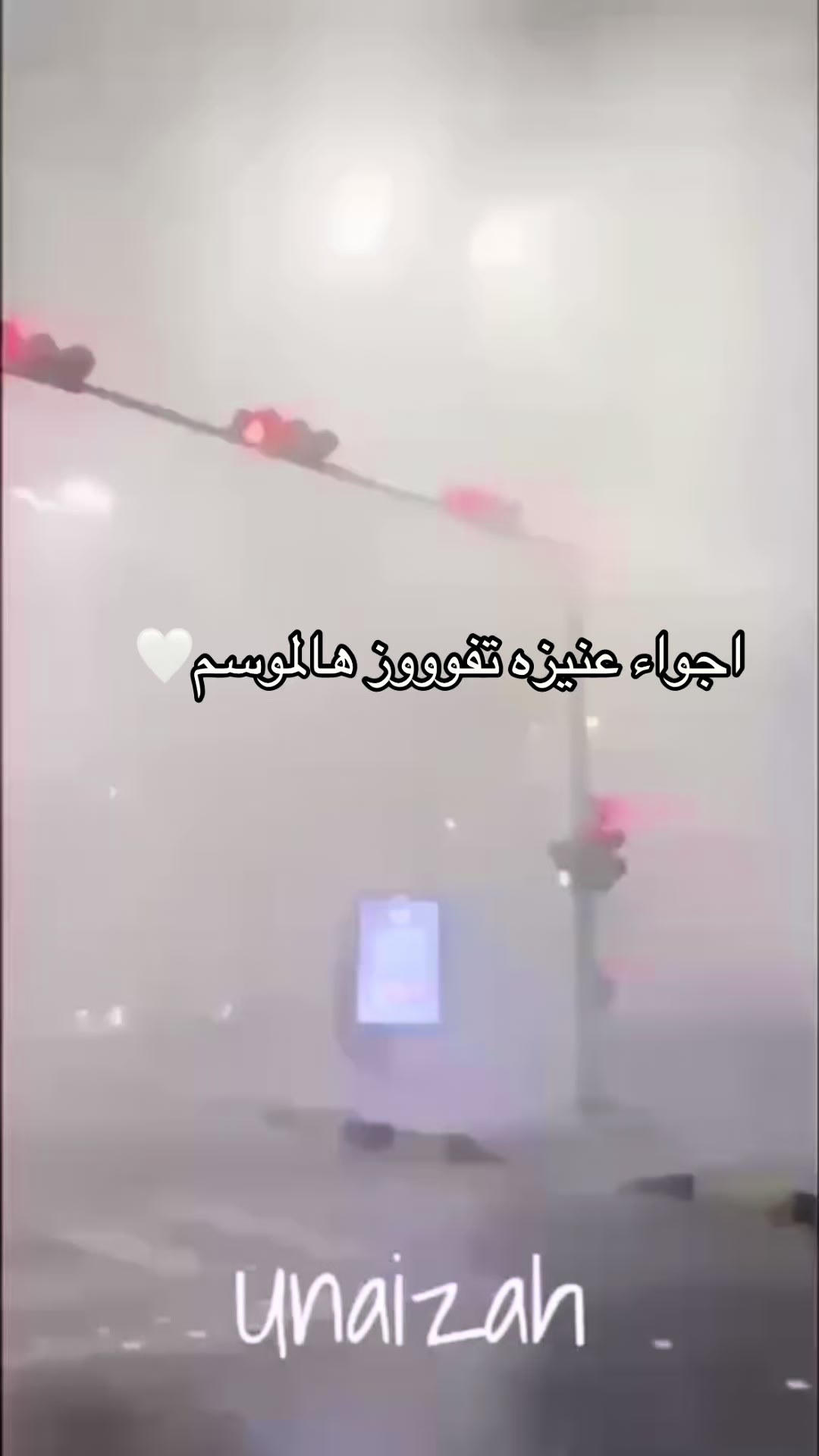 @سيلآ☂️