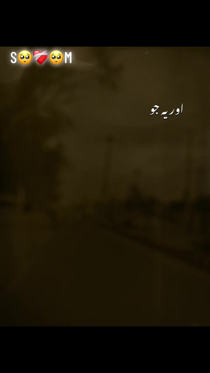 @shan Bhatti2040