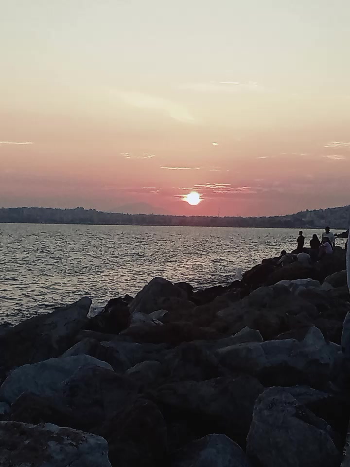 @lovita94