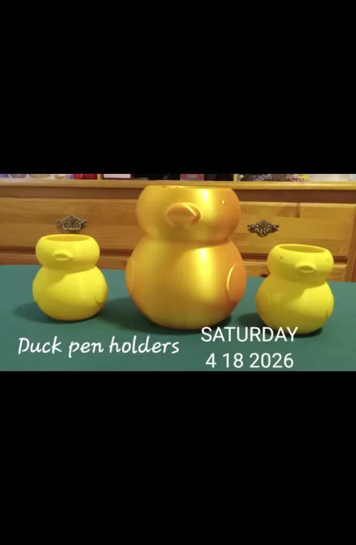 @csducky1970🦆😇🐻