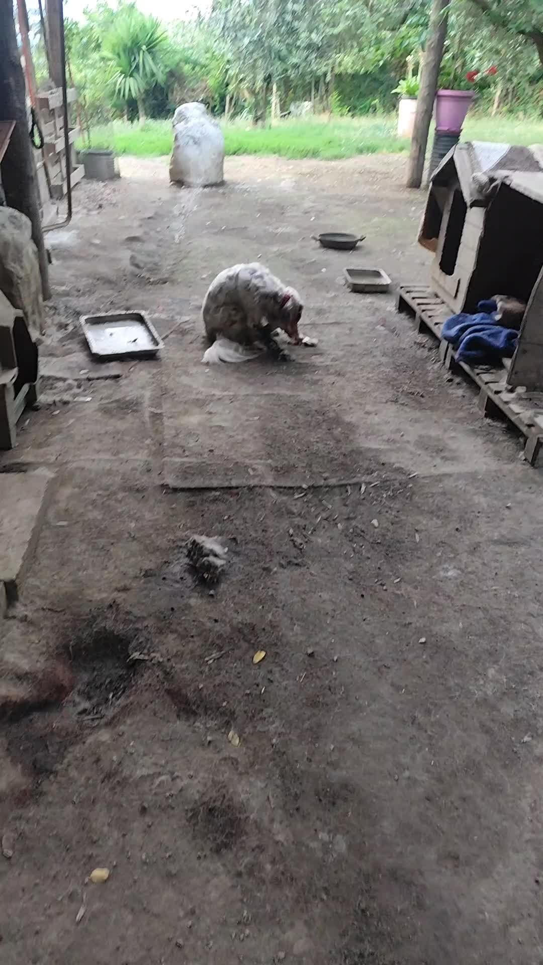 @Io e la mia karmela 🥰