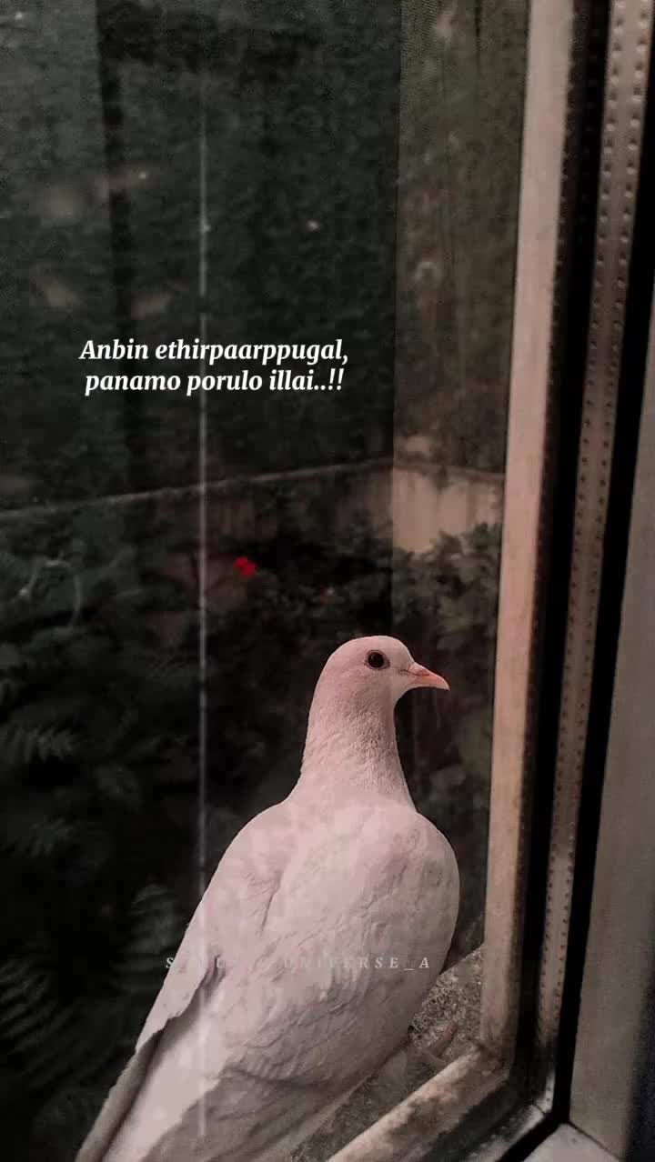 @&hearts;𝙈𝙐𝙎𝙄𝘾 𝙐𝙉𝙄𝙑𝙀𝙍𝙎𝙀&hearts;