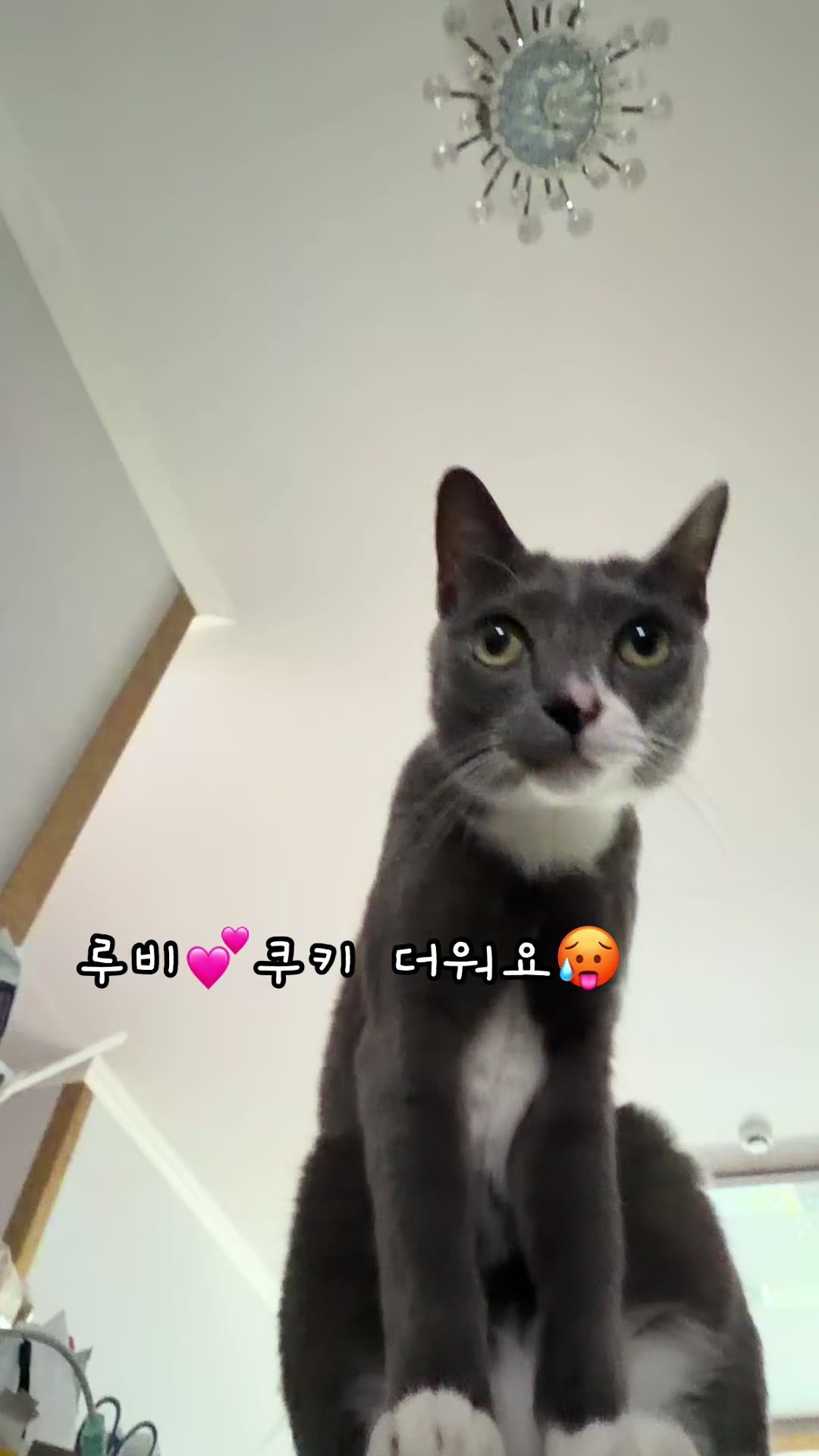 @dyncgi0njue8