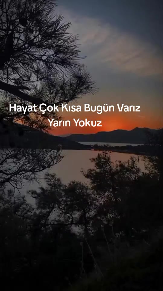@Fatma Bolat