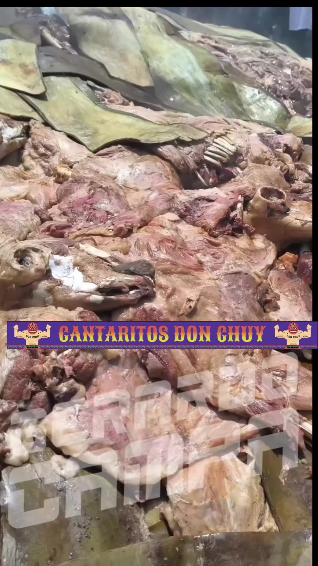 @Gerardo Campa