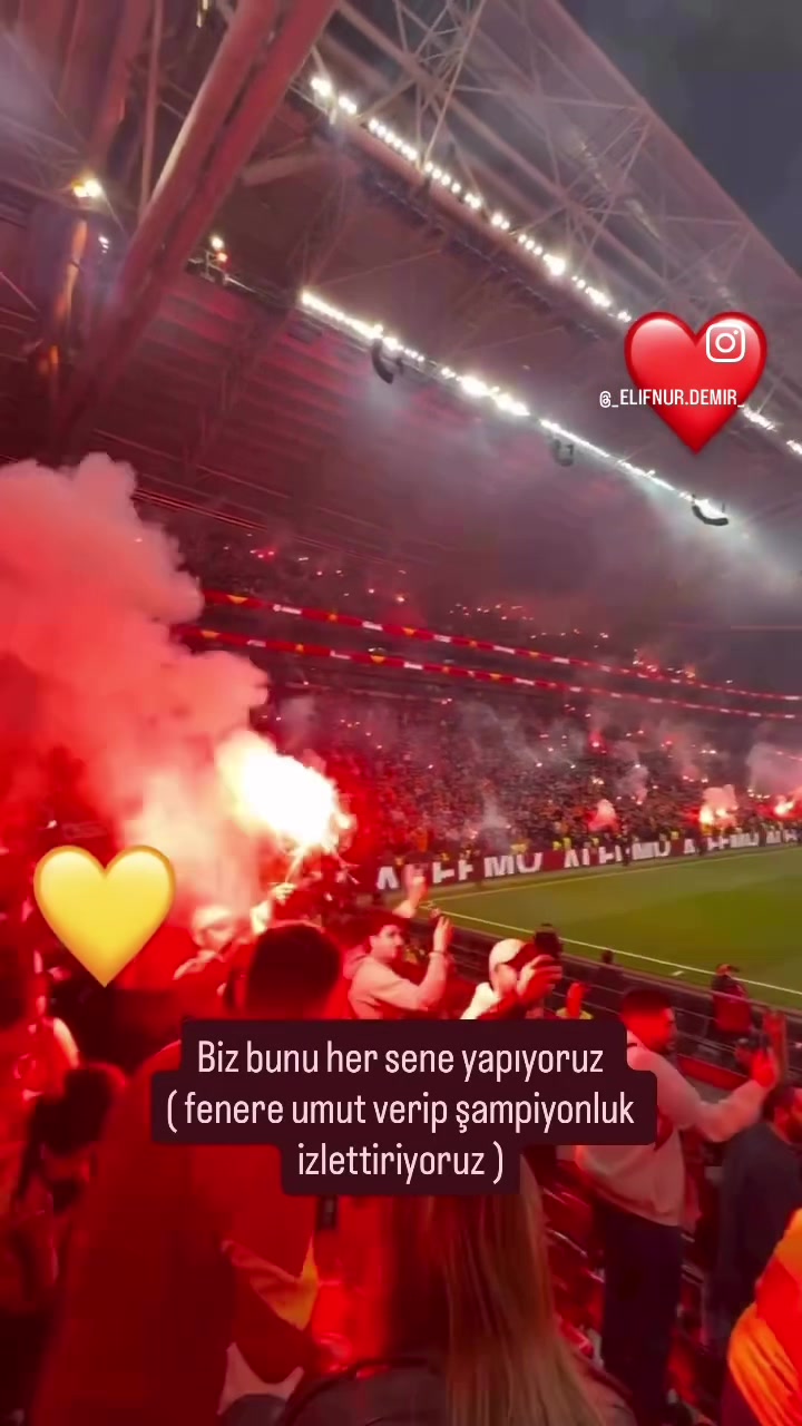 @Elifnur Demir