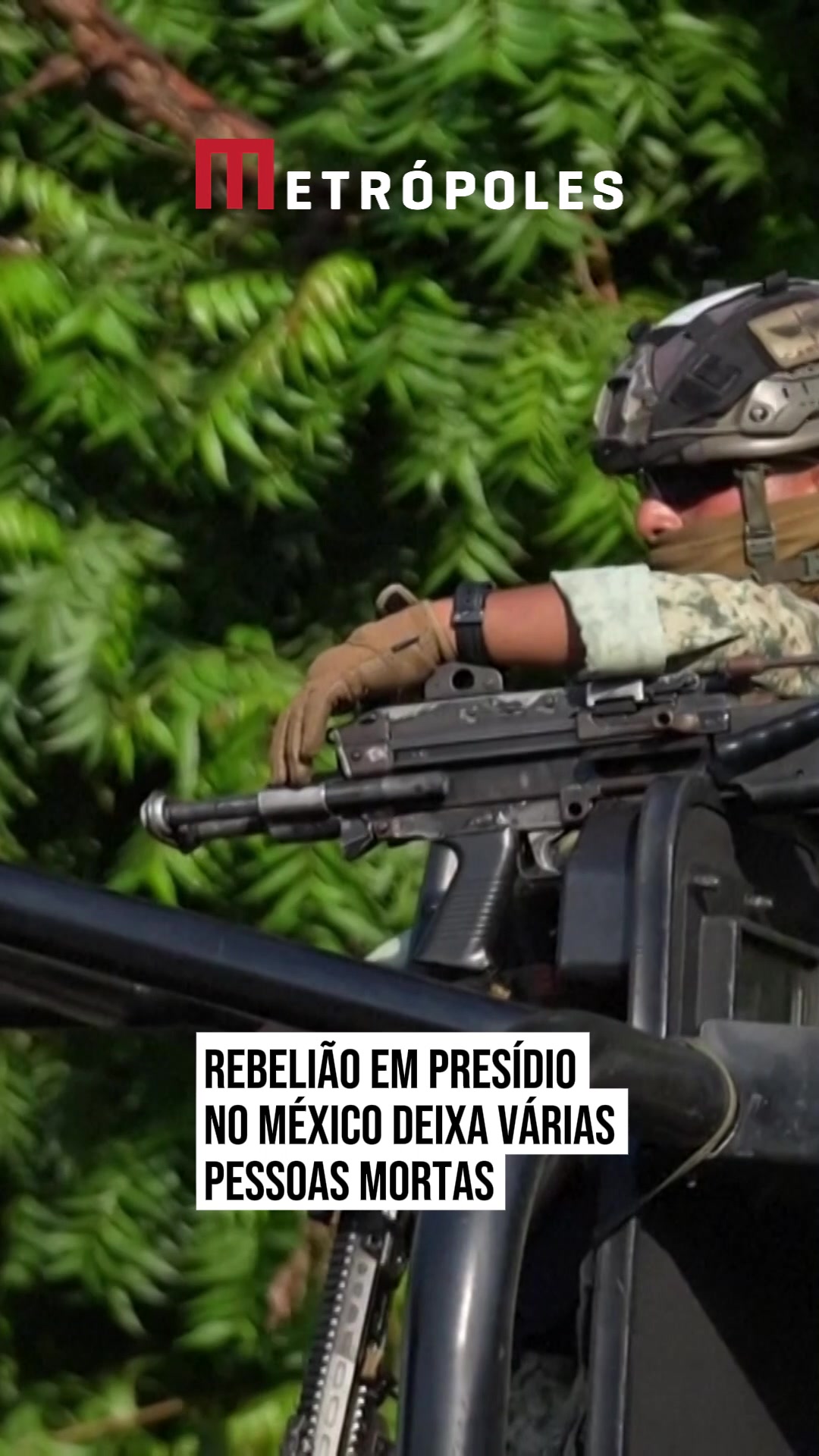 @Metrópoles Oficial