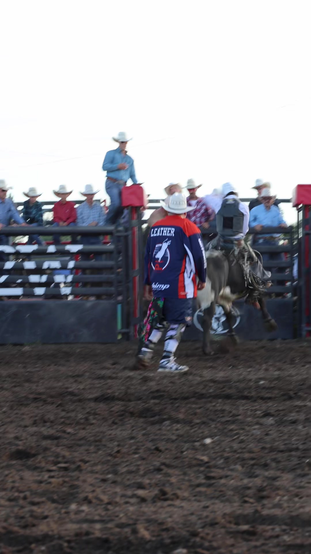 @Lazy P Rodeo