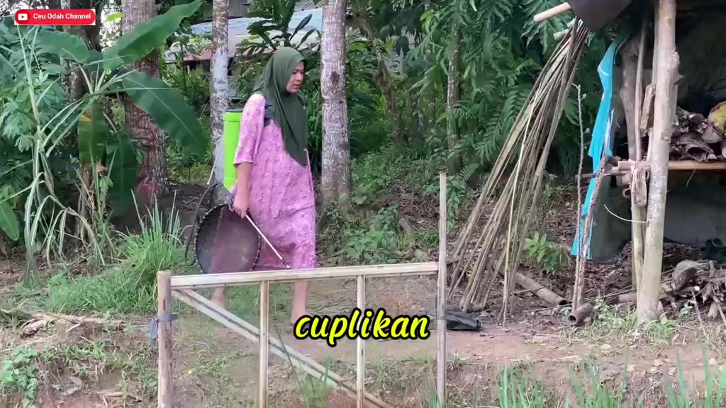 @ceuodah87