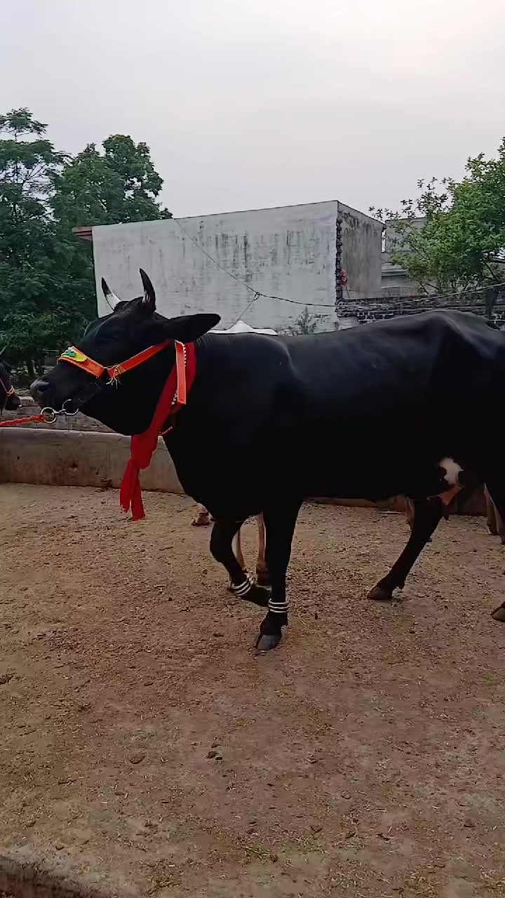 @Farming and Business Ideas