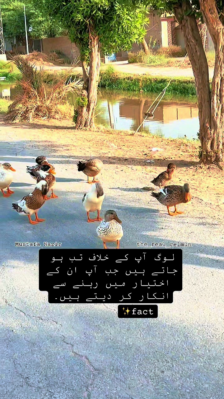 @★彡𝓜𝓾𝓼𝓽𝓪𝓯𝓪 𝓝𝓪𝔃𝓲𝓻 彡★
