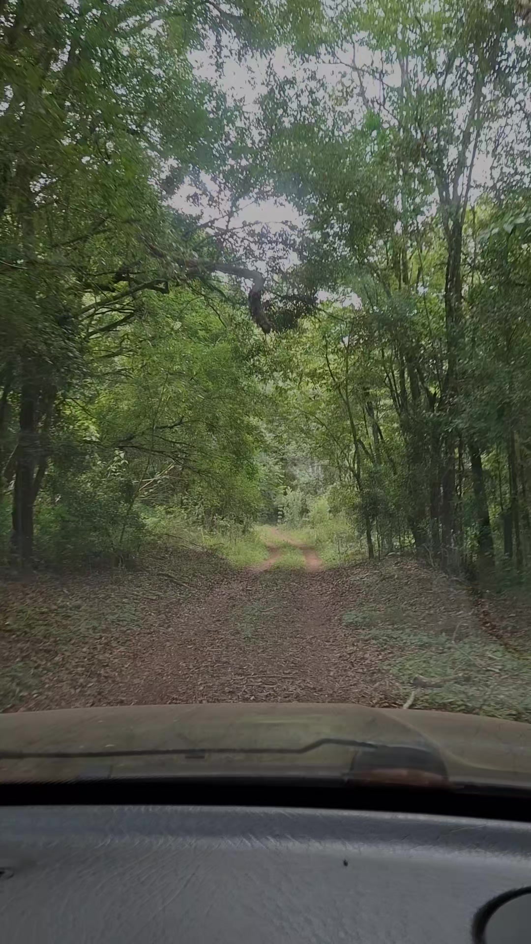 @Lóre