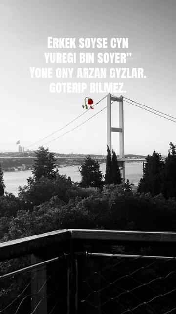 @🕊⃘꯭⃝ᷮᷧ🪽ͣMaksat ρ€ąȼ€🇹🇷