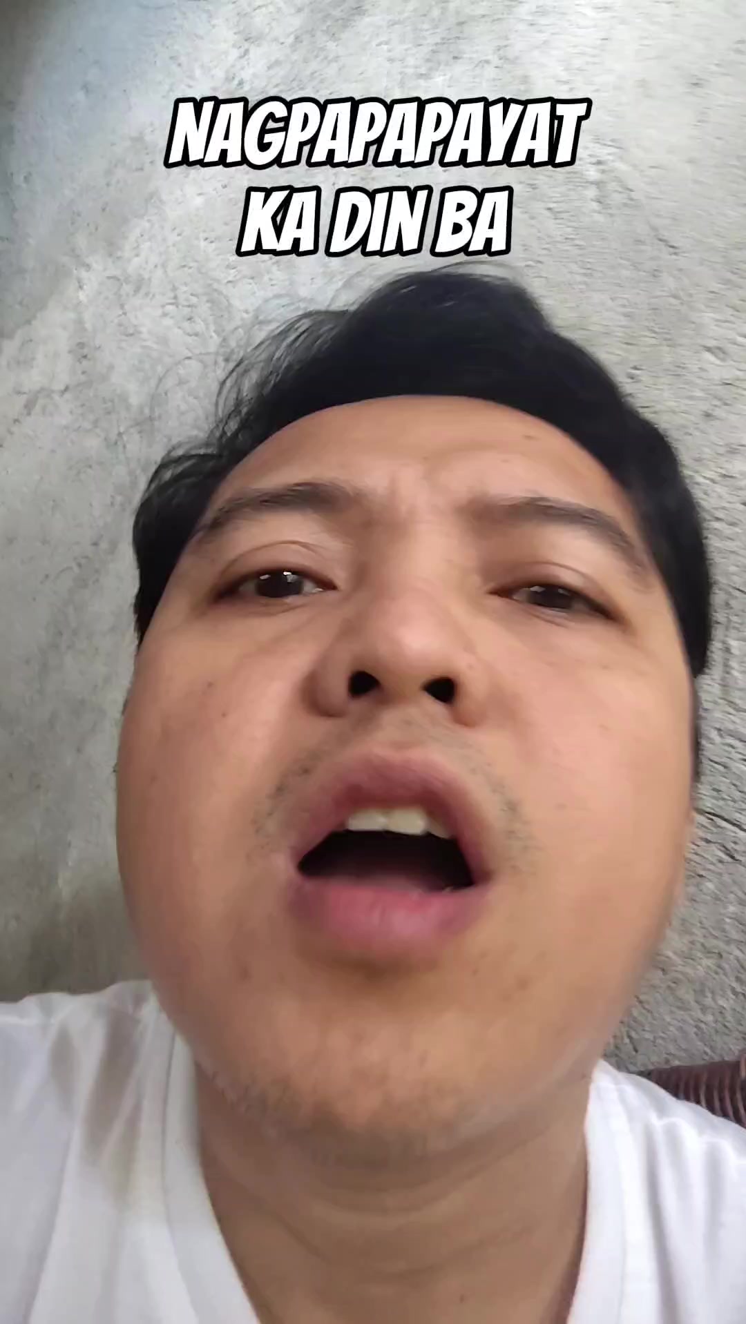 @punetnet