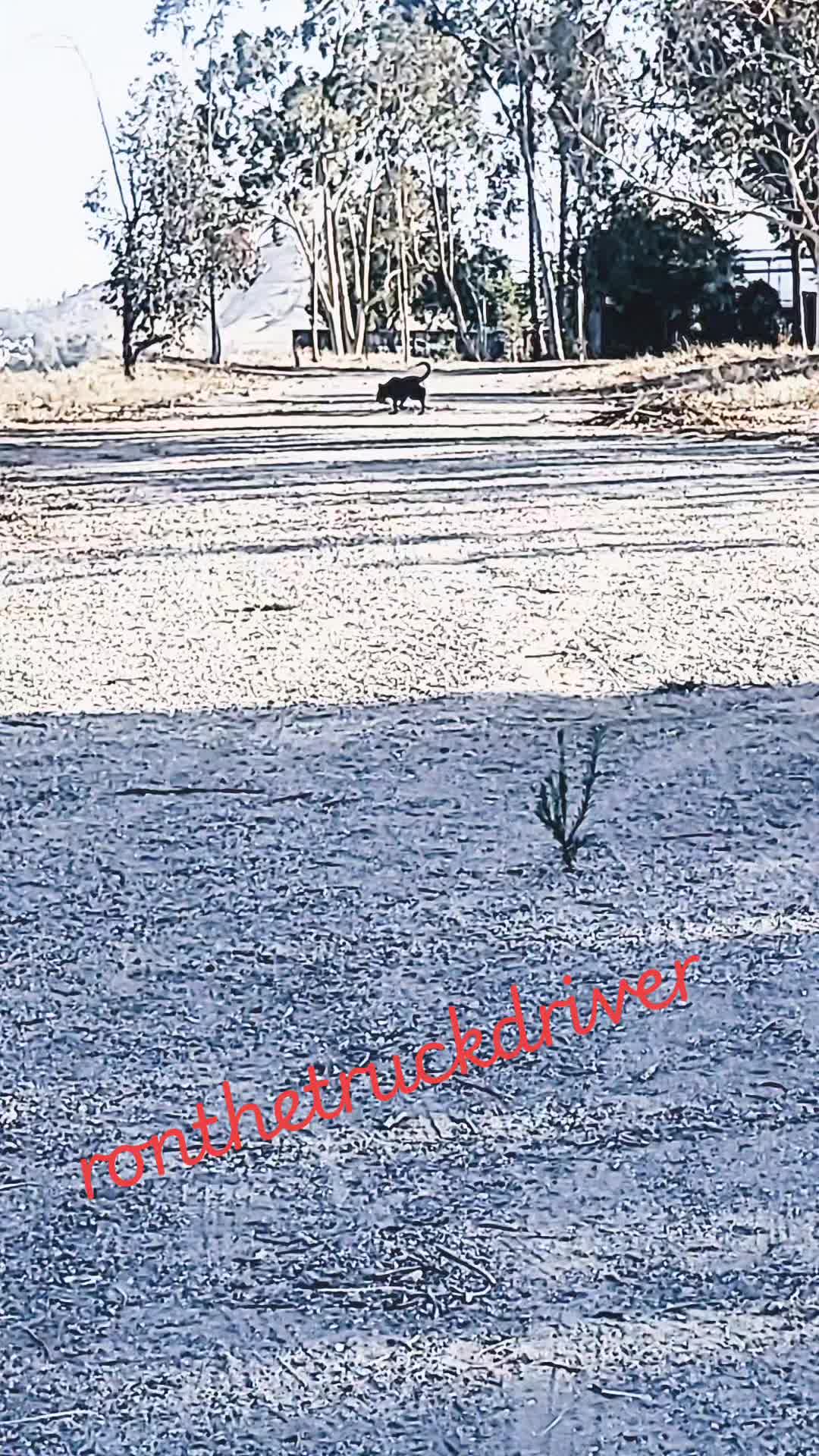 @ronthetruckdriver
