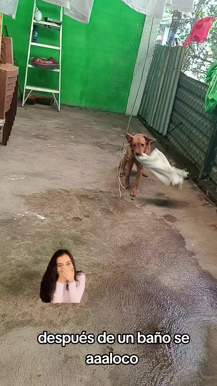 @Lù García❤️