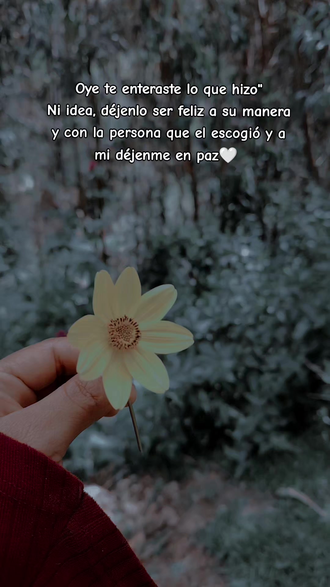 @🦋 Nery Villanueva ❤️💫