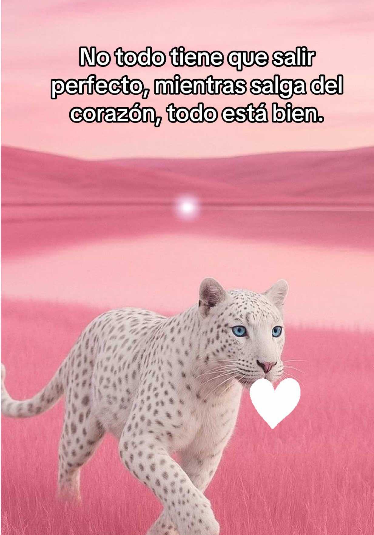 @🎀Pura Gente Pink🎀