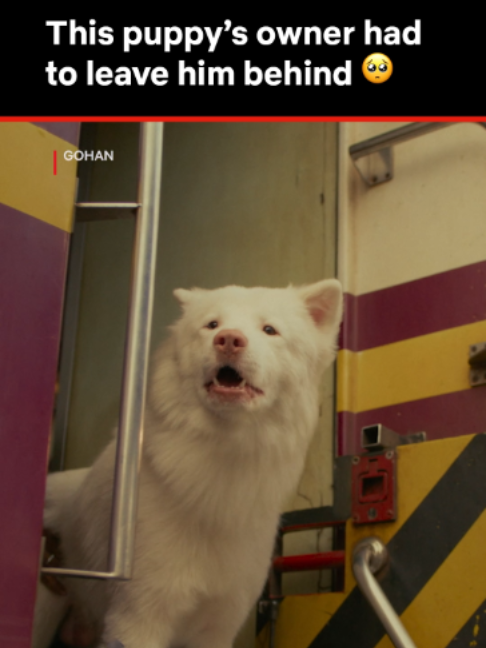 @Netflix Philippines