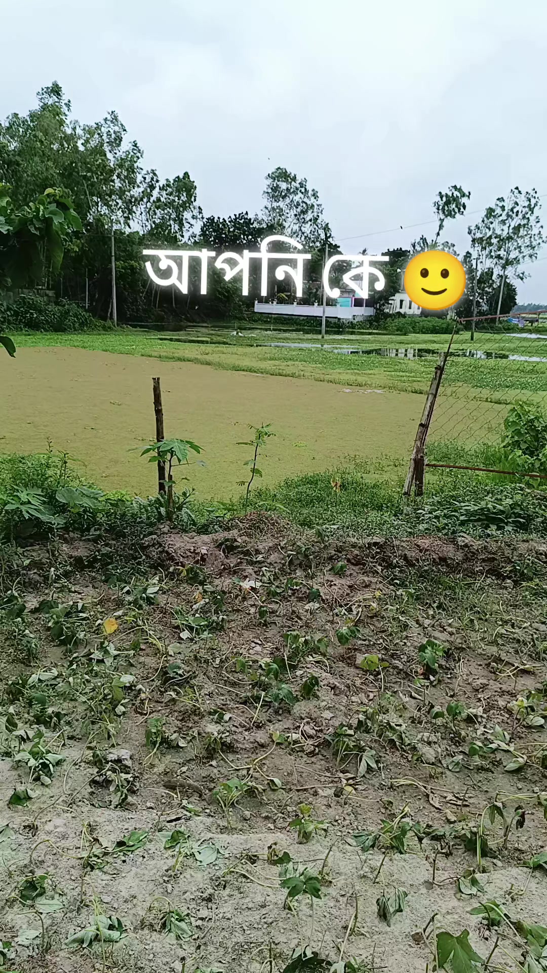 @ALI🇧🇩