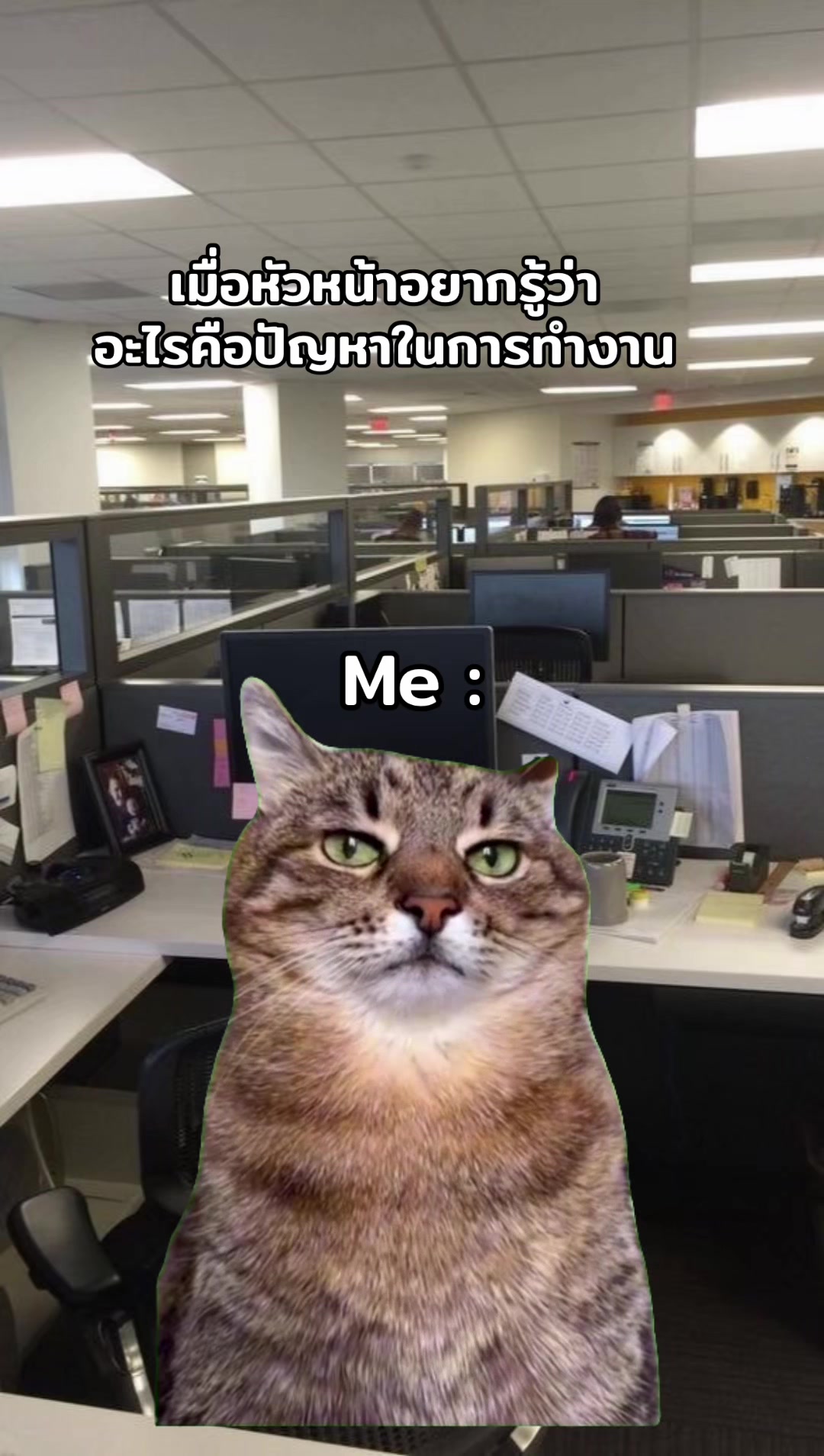 @ฮิปโปตด