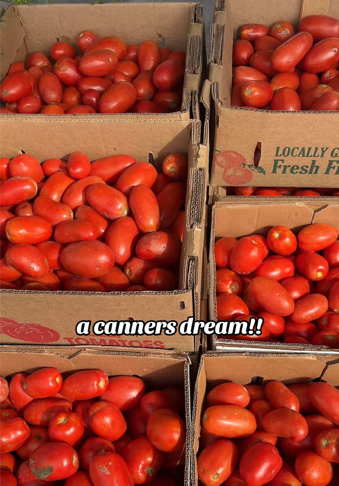@Anderson Farms