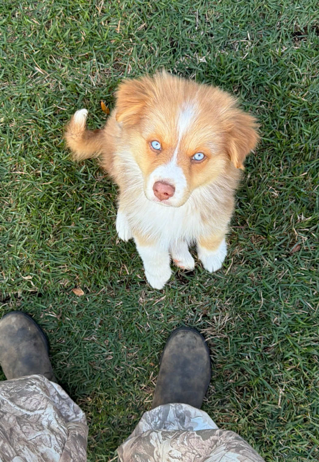 @Kennedy