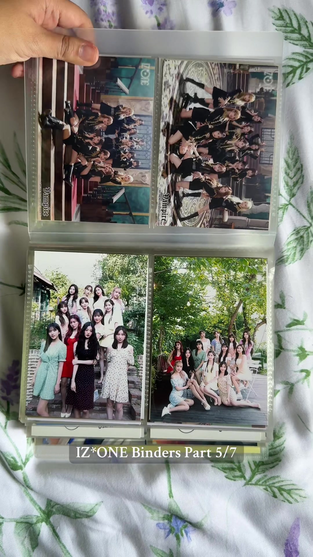 @๐ฏ๐