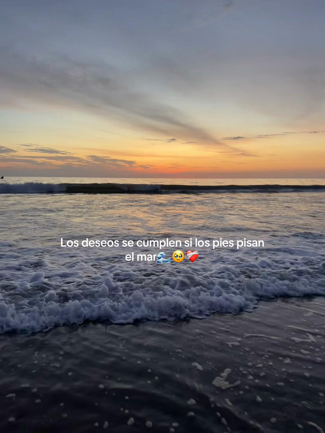 @Inelda🦋