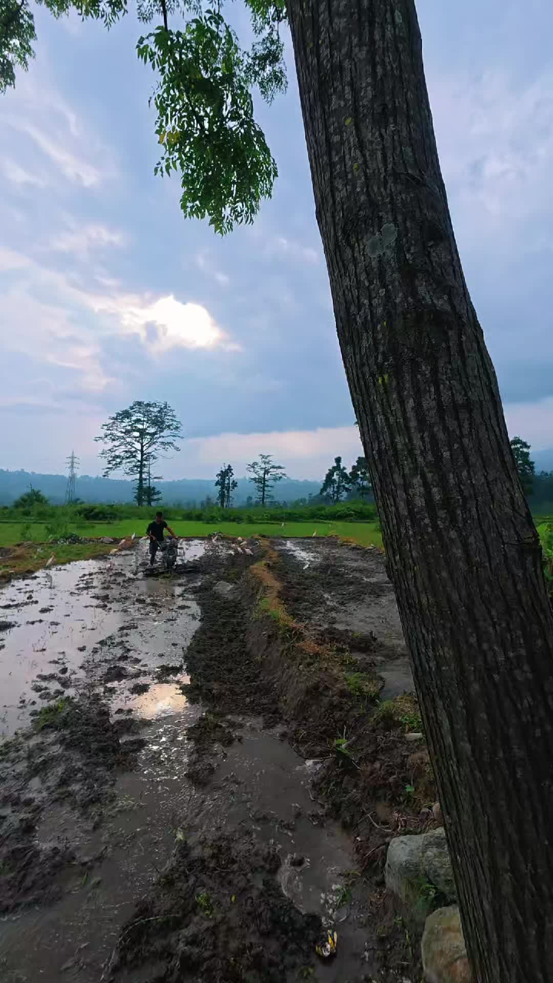@Fast_Furious__@🇧🇹