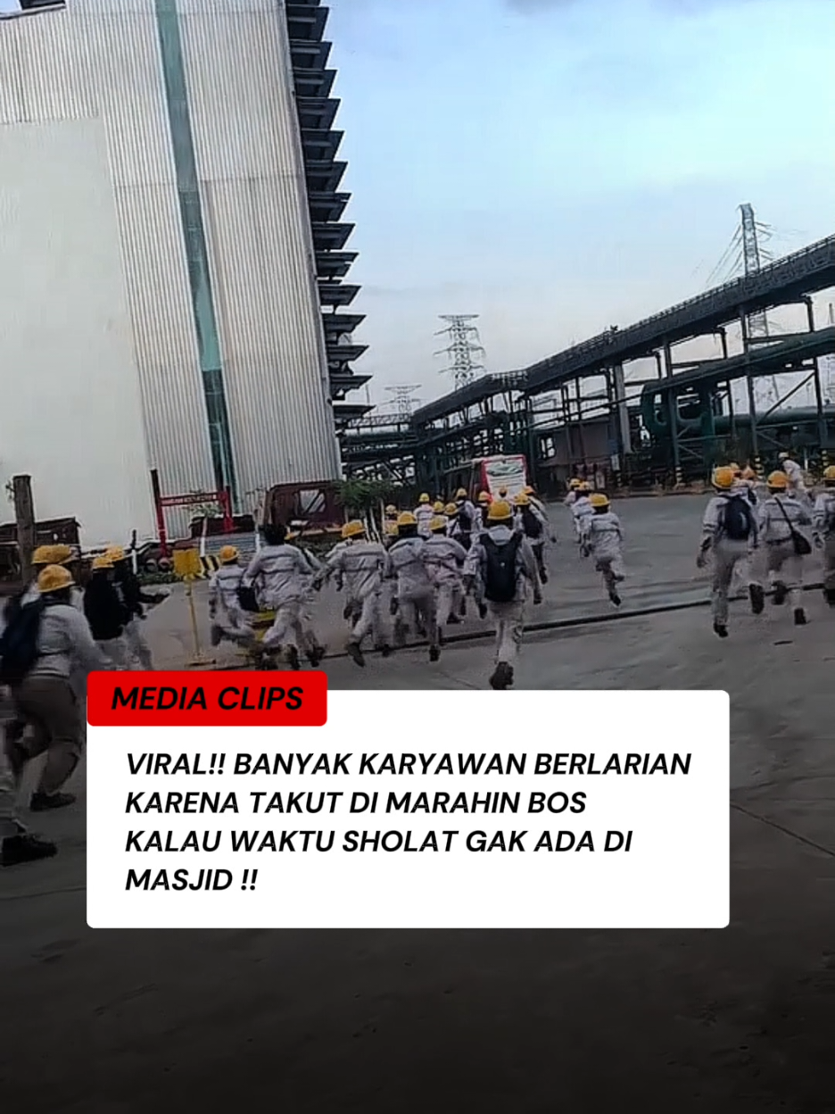 @MEDIA CLIPS