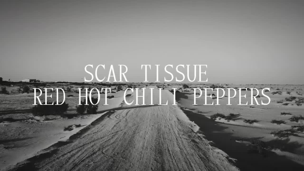 @song lyrics