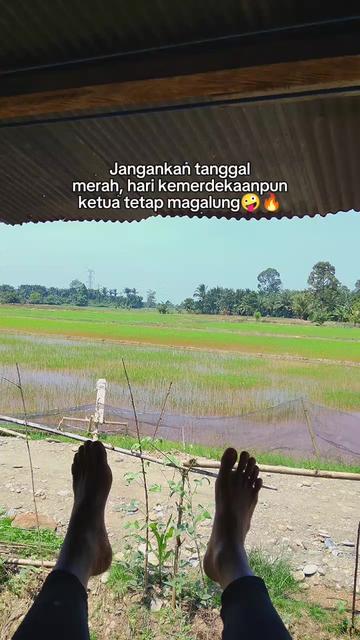 @ADHY 022🚀