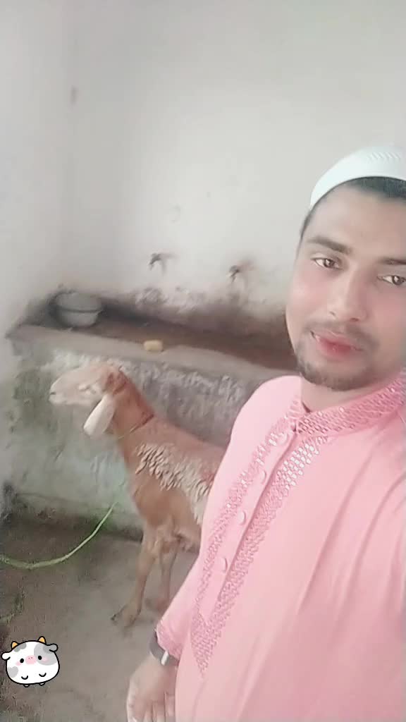 @সৌদি আরবপুর বাস থেকে বলছিলাম