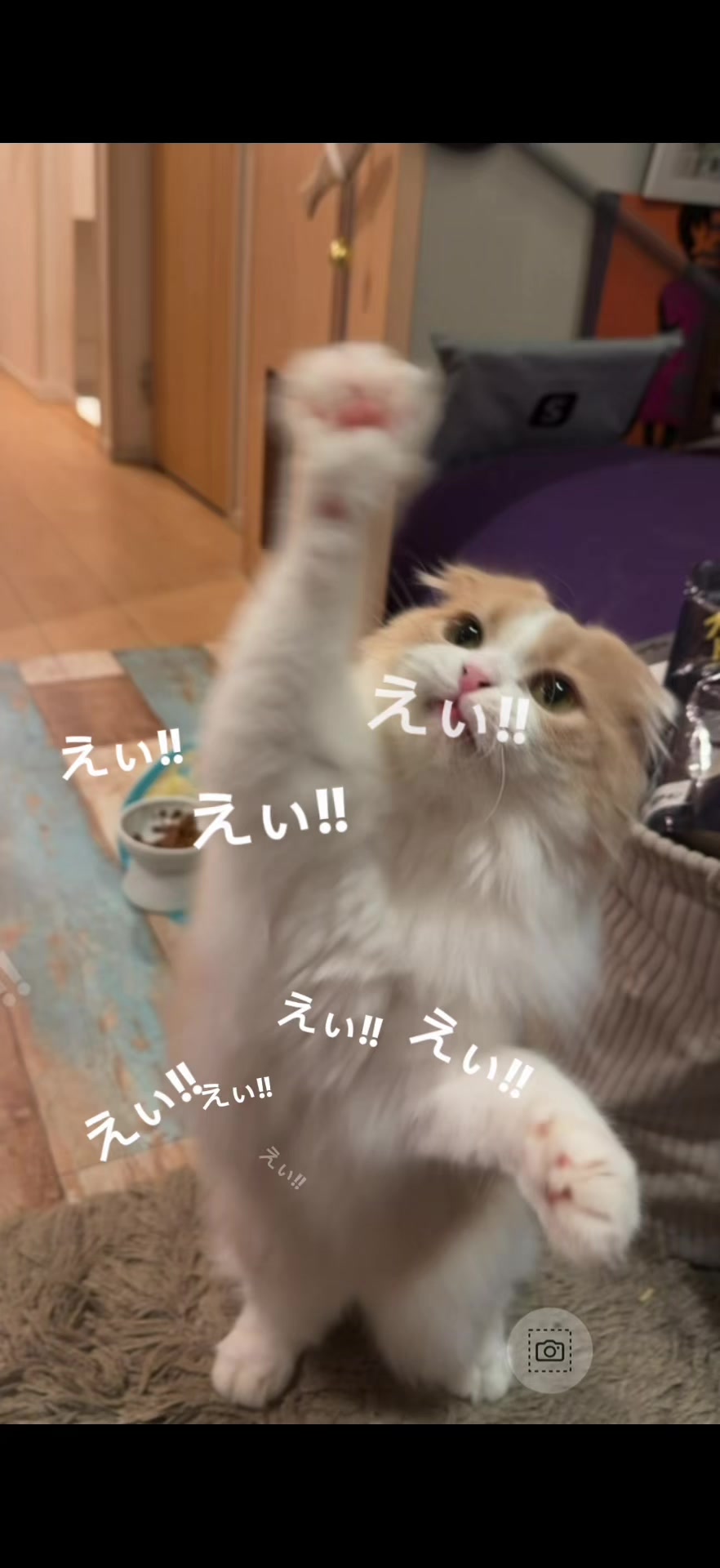 @くるラテ